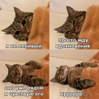 Врач рассказал о трех шагах на пути к стройности