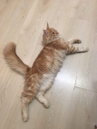 А у меня нелюдимый. К чужим в руки не дается. А с нами ласковый, это да