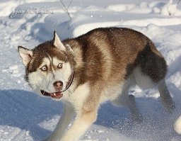 Девушки без запросов, которым не нужен твой кошелек