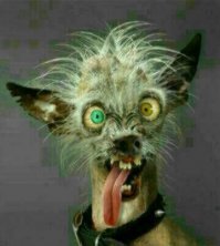 я здесь с утра))))