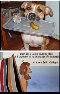 Зря женился, или когда твоя супруга ужасно готовит