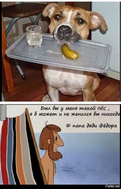Зря женился, или когда твоя супруга ужасно готовит