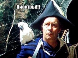 15 видео на тему "О чем говорят попугаи"