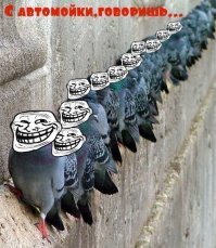 20 фото, на которых люди нашли неприятности на свою голову