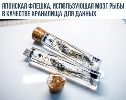 И каждые 7 секунд она самоочищается.