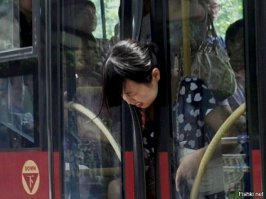 20 фото, на которых люди нашли неприятности на свою голову