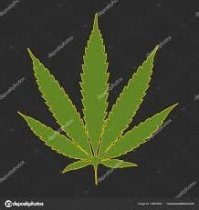 " У меня всегда есть план!"