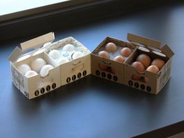 Производители скрывают рост цен на продукты гениальным образом