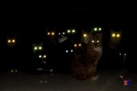 За валенок могут отомстить.