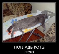 Демотивируй