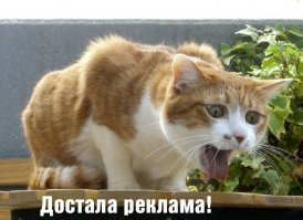 так начать и затем всё обосрать