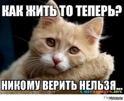 "Развели" под Новый год