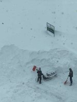 -Закапывай обратно, это не наша!