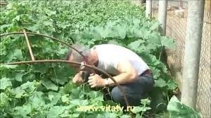 а как же сила земли?