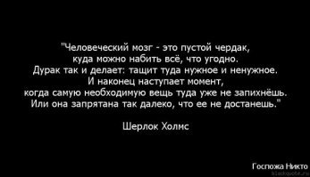 Самый глупый ответ «Своей игры» вошёл в историю