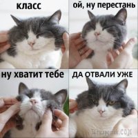 Прикольные и смешные картинки