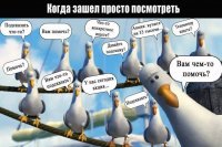 Прикольные и смешные картинки