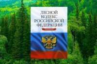 Прикольные и смешные картинки