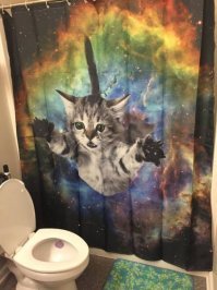 20 сумасшедших, смешных и нелепых занавесок для душа