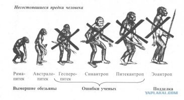 Тайны планеты обезьян: как появилось человечество
