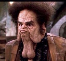 Зверские фото