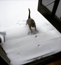 Смешная подборка картинок