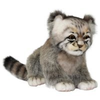 Кот загрыз троих грабителей из Озерска