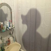 20 сумасшедших, смешных и нелепых занавесок для душа