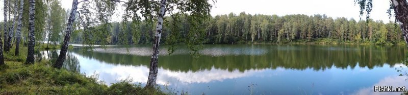 Эх...
Немного дополню.
Из личного, о лете.