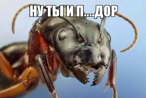 Прикольные и смешные картинки