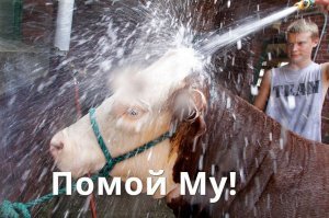 Картинки с надписями для настроения