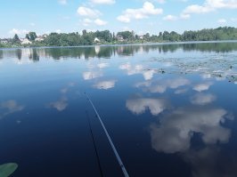 Даа, лето было образцово-показательным.