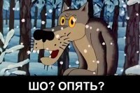 Женщина спасла свою собаку, провалившуюся под лед в бассейне