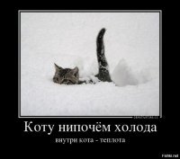 Прикольные и смешные картинки