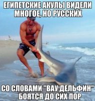 Прикольные и смешные картинки
