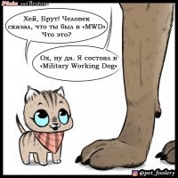 Котенка Пикси зовут?