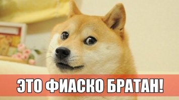 Прикольные и смешные картинки