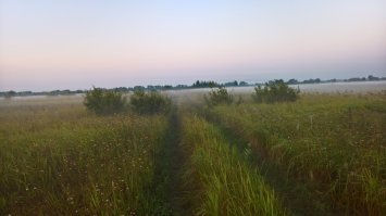 Не травите, цуко, душу