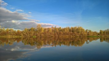 Не травите, цуко, душу