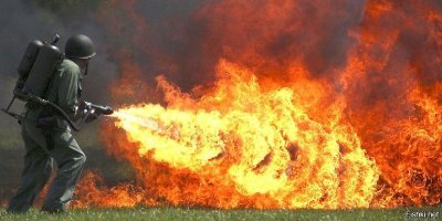 Зеленый комбинезон и колготки в сеточку: Наряд Серены Уильямс восхитил поклонников