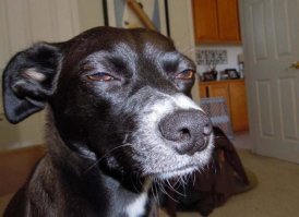 Автор, а зачем полгода такую "Бомбу" от народа прятал?
Нарушение то ещё 31 июля 18 года датировано.