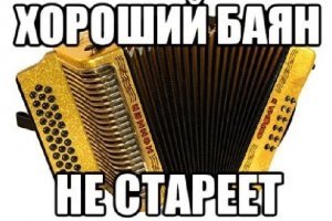Кот загрыз троих грабителей из Озерска