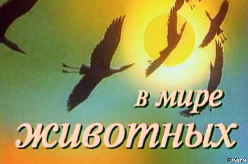 Только не с Дроздовым, а с Малаховым