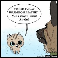 Чёт напомнило.