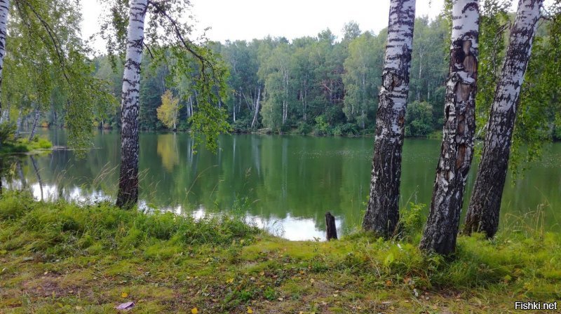 Добавлю вам еще своих фото.
Специально для любителей отдыха на природе, палаток, шатров, вечеров у костра....
Крепитесь друзья.