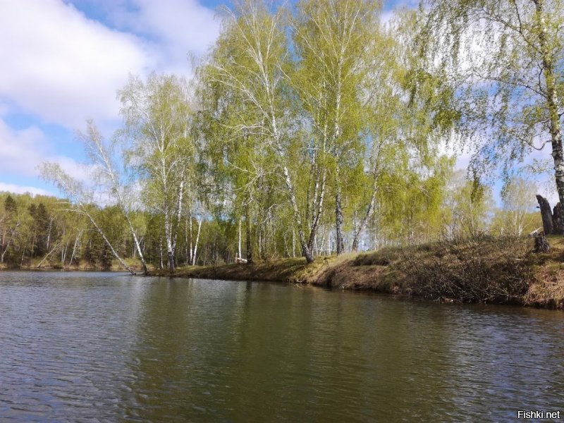 Добавлю вам еще своих фото.
Специально для любителей отдыха на природе, палаток, шатров, вечеров у костра....
Крепитесь друзья.