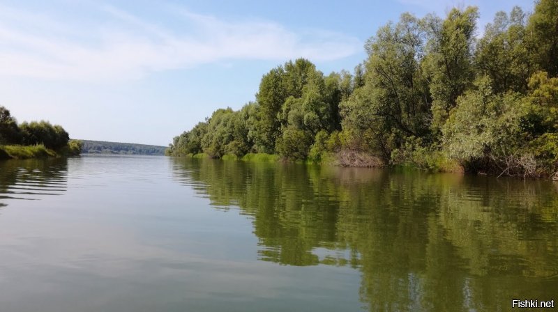 Добавлю вам еще своих фото.
Специально для любителей отдыха на природе, палаток, шатров, вечеров у костра....
Крепитесь друзья.