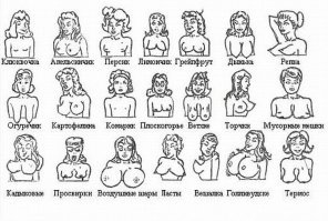 Эх, молодёжь... Вот вам картинка, хоть будете знать, что такое сиськи.