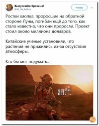 Китайцы вырастили на Луне хлопок и показали его фотографии