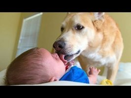 Вот это явный перебор.